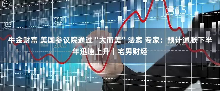 牛金财富 美国参议院通过“大而美”法案 专家：预计通胀下半年迅速上升｜宅男财经