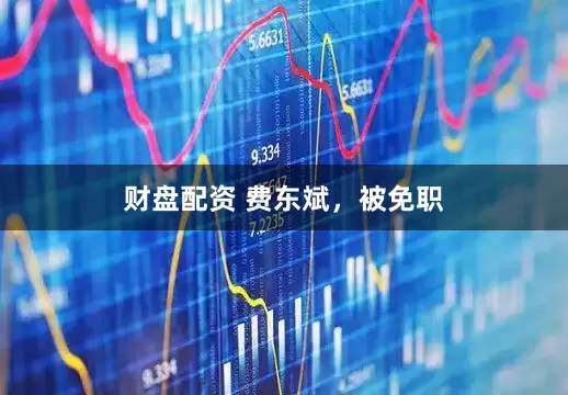 财盘配资 费东斌，被免职