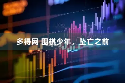 多得网 围棋少年，坠亡之前