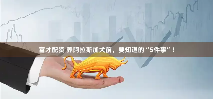 富才配资 养阿拉斯加犬前，要知道的“5件事”！