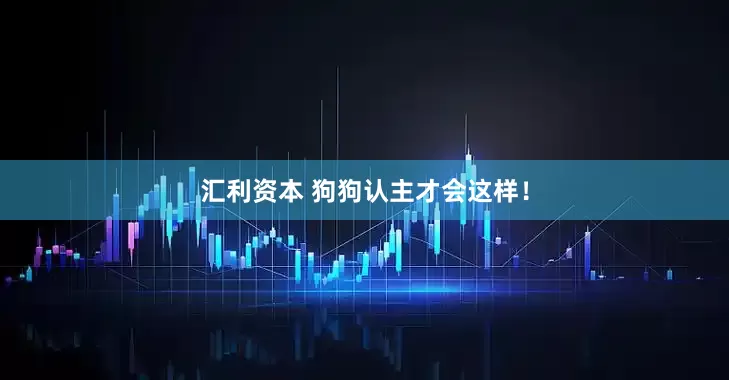汇利资本 狗狗认主才会这样！