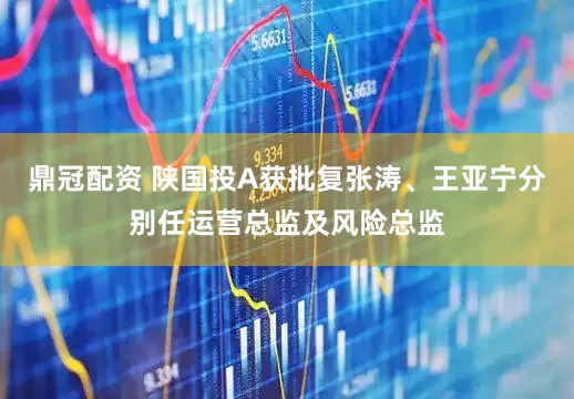 鼎冠配资 陕国投A获批复张涛、王亚宁分别任运营总监及风险总监