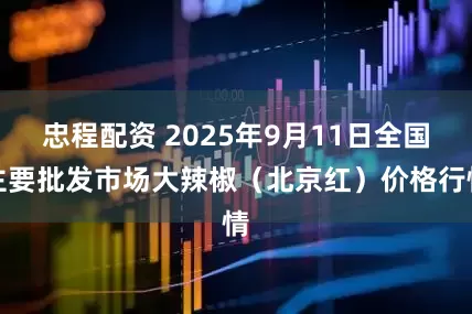 忠程配资 2025年9月11日全国主要批发市场大辣椒（北京红）价格行情