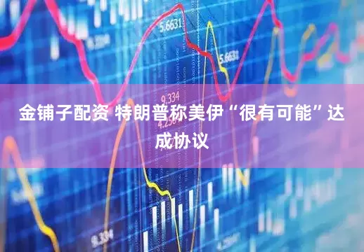 金铺子配资 特朗普称美伊“很有可能”达成协议
